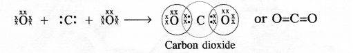 NCERT Solutions for Class 10 Science Chapter 4 Carbon and its Compounds 1